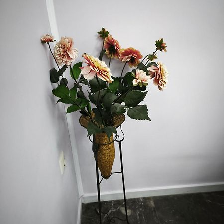 TzigkounaMarilidiahouse别墅 外观 照片